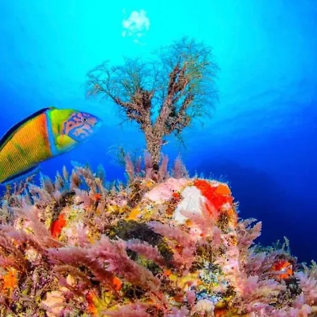 Casa Buganvilla * Hermigua