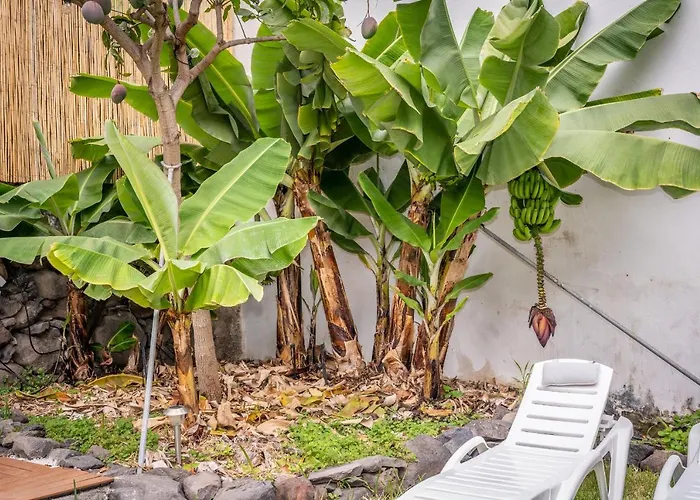 Casa Buganvilla Prázdninový dům *