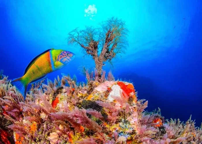 Casa Buganvilla * Hermigua