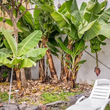 Casa Buganvilla Semesterbostad *