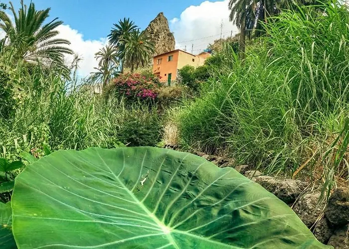 Casa Buganvilla Vakantiehuis *